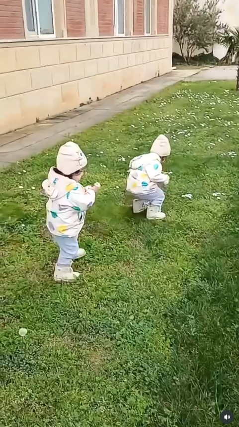 Bağçanın həyətində uşaqların oyunu